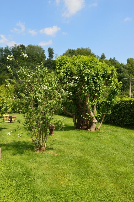 Agriturismo Morgan 몬테벨루나 외부 사진