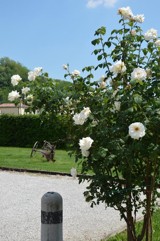 Agriturismo Morgan 몬테벨루나 외부 사진