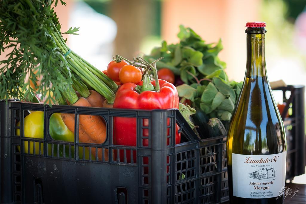 Agriturismo Morgan 몬테벨루나 외부 사진